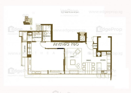2 RVG photo 4