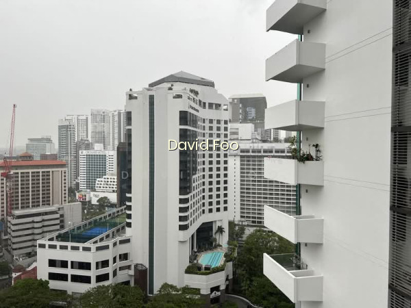 THE BOULEVARD RESIDENCE photo 6