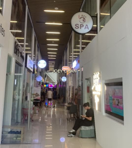 FREEHOLD NEAR KING ALBERT PARK MRT, METHODIST GIRLS SCH 9