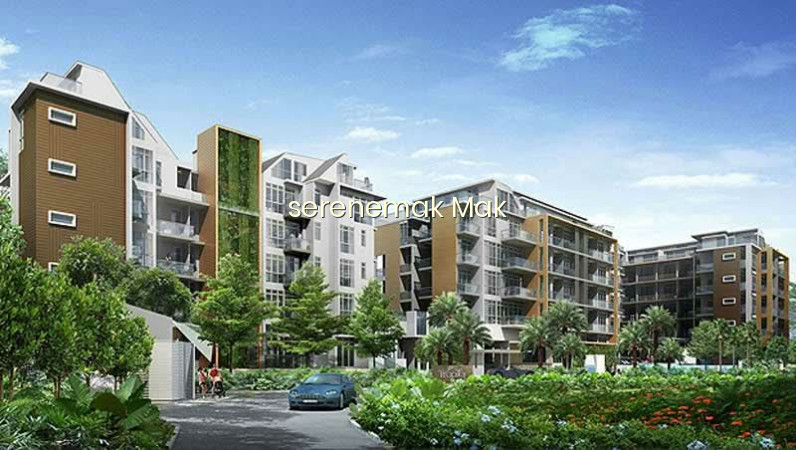 TROPIKA EAST photo 5