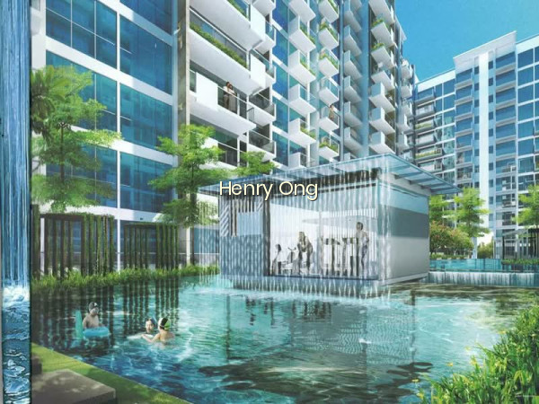 THE CANOPY 10