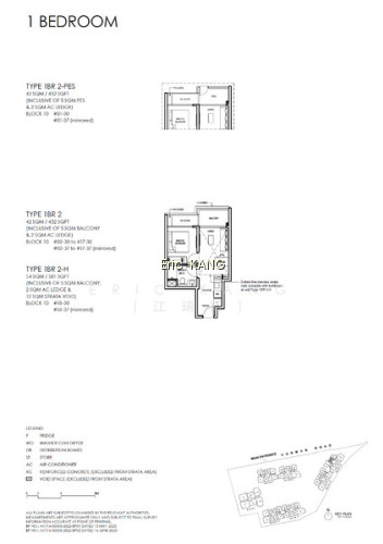 GRAND DUNMAN photo 2