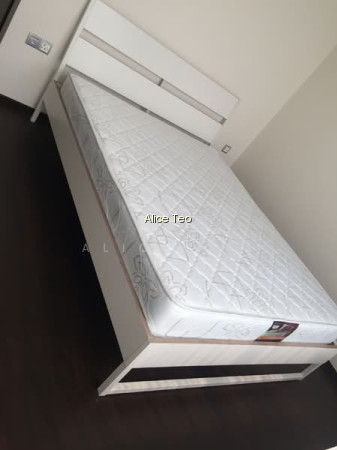 SPOTTISWOODE RESIDENCES photo 3