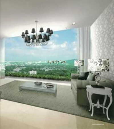 THE LINCOLN RESIDENCES photo 5