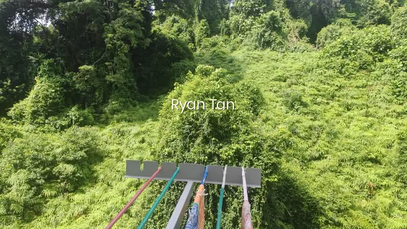 31 TELOK BLANGAH RISE photo 5