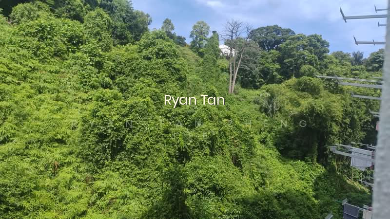 31 TELOK BLANGAH RISE photo 6