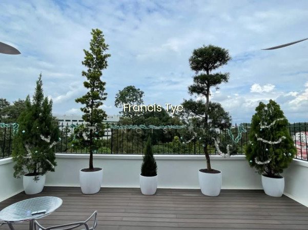 GRANDE VISTA photo 6