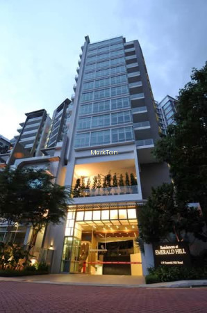 RESIDENCES @ EMERALD HILL photo 5