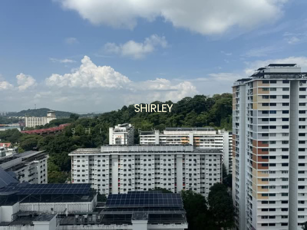 37 TELOK BLANGAH RISE photo 5