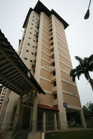 244 JURONG EAST STREET 24 photo 5