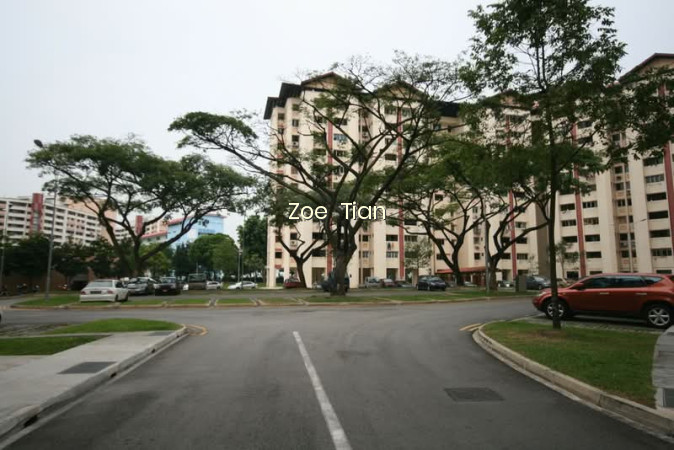 244 JURONG EAST STREET 24 photo 6
