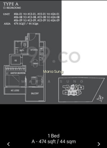 26 NEWTON photo 2