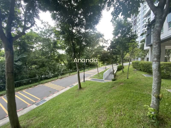 476B UPPER SERANGOON VIEW photo 6