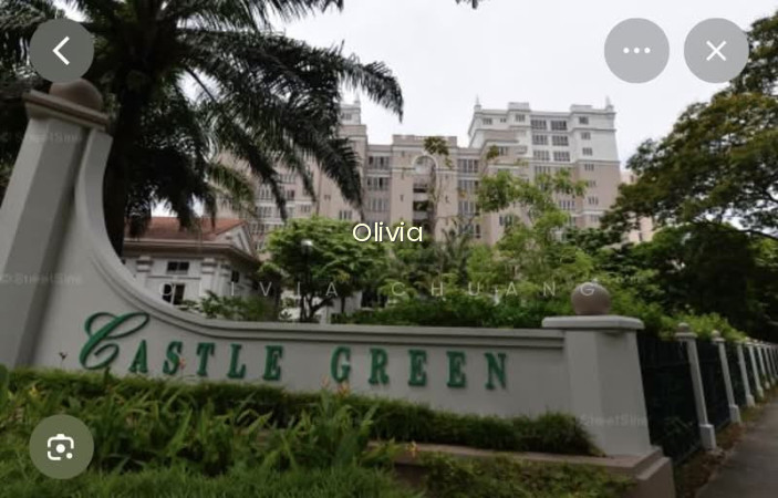 CASTLE GREEN photo 3