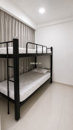 NESS photo 3