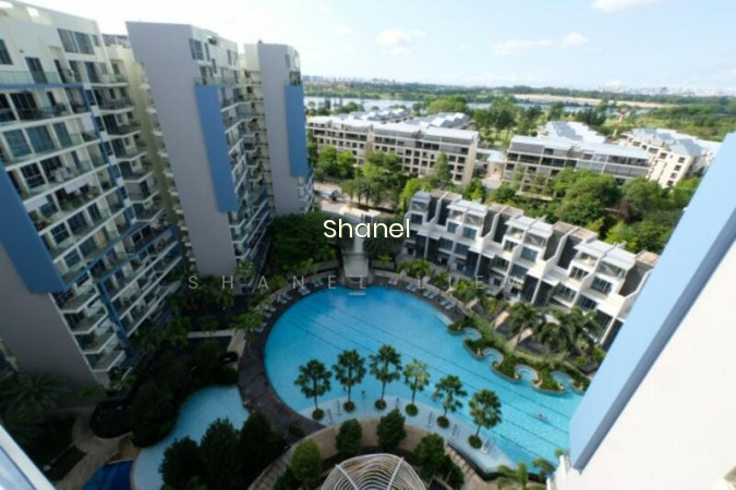 SKIES MILTONIA photo 5