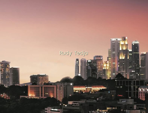 RESIDENCES @ EMERALD HILL photo 5