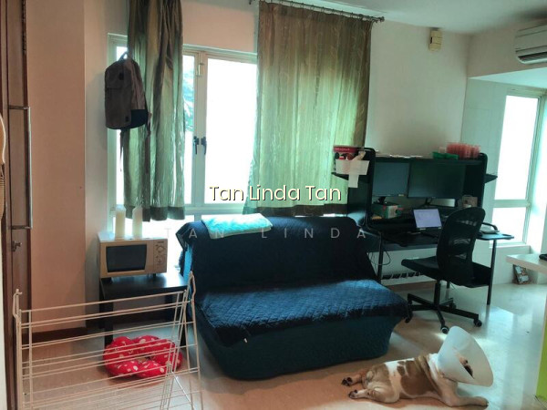 CASA AROMA photo 2