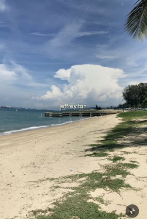 219B BEDOK CENTRAL photo 5