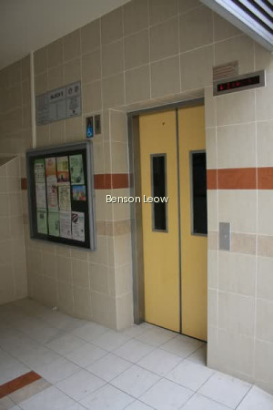 9 HAIG ROAD photo 6