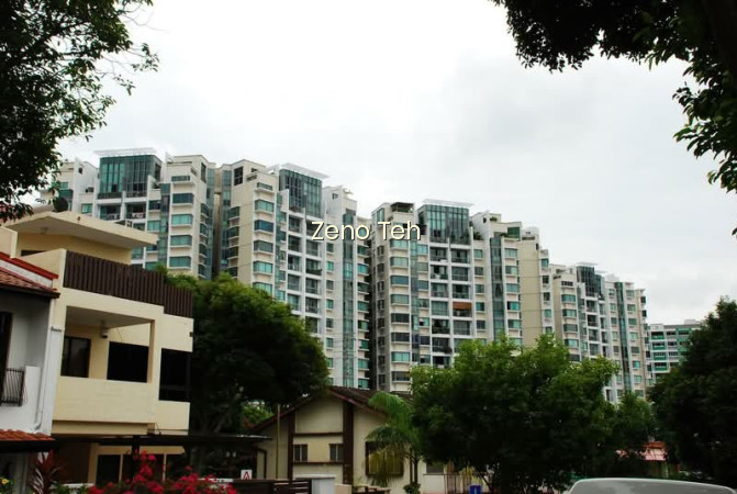 TANAMERA CREST photo 4
