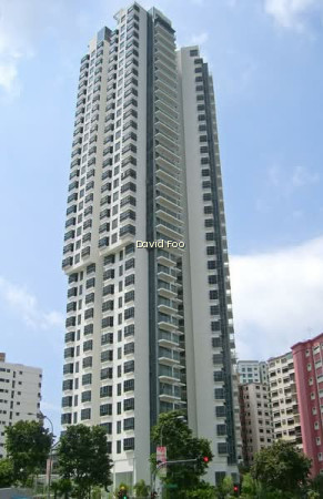 URBANA photo 6