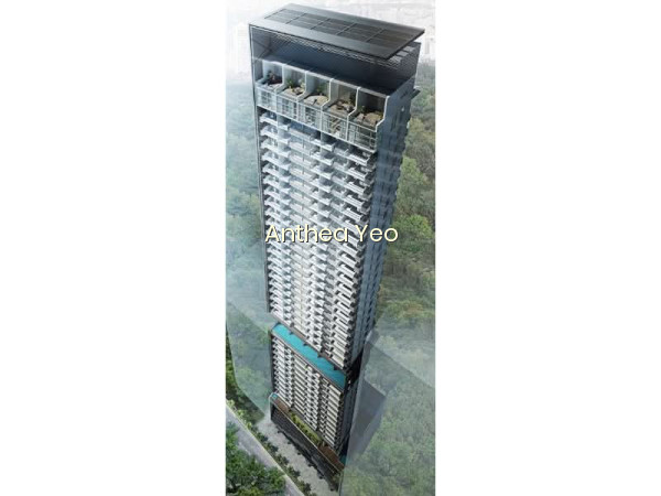 ROBINSON SUITES 8