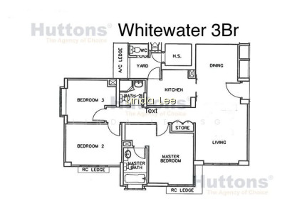 WHITEWATER photo 4