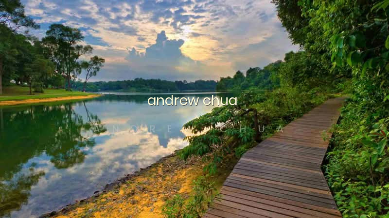 THOMSON RESERVE photo 3