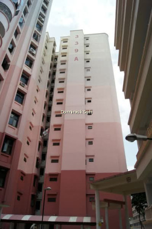 339A SEMBAWANG CLOSE photo 6