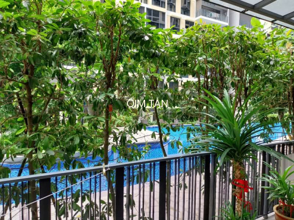 THE RAINFOREST photo 4