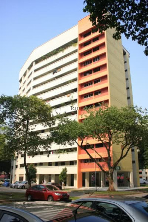 536 JURONG WEST STREET 52 photo 5