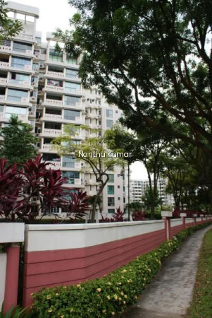 ORCHID PARK CONDOMINIUM photo 6