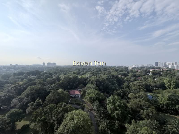 96 DAWSON ROAD photo 3