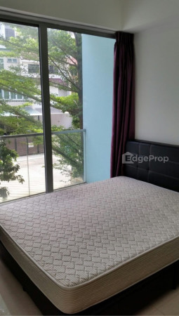 MELOSA photo 6