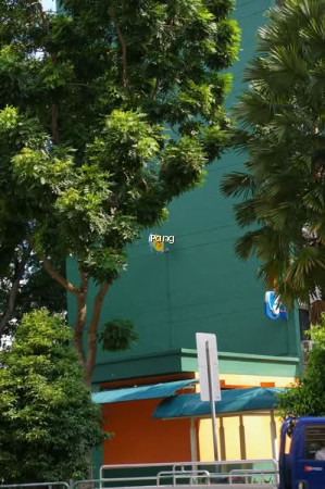 75 WHAMPOA DRIVE photo 6