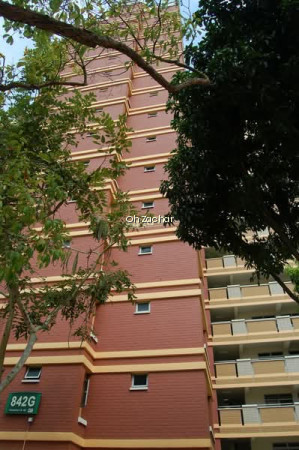 842G TAMPINES STREET 82 photo 6