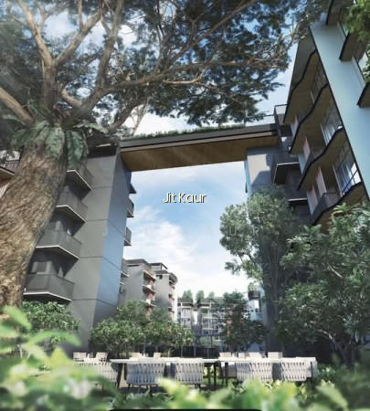 DAINTREE RESIDENCE photo 3