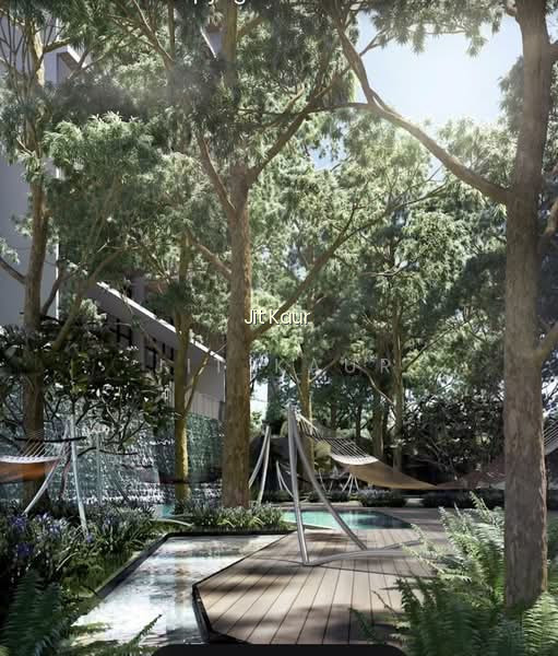 DAINTREE RESIDENCE photo 6