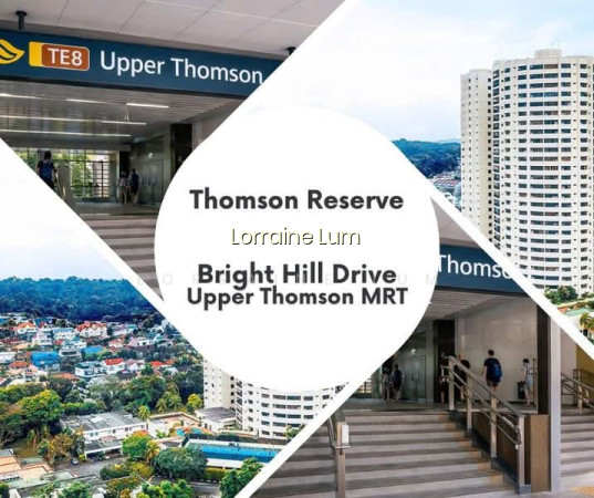 THOMSON RESERVE photo 4