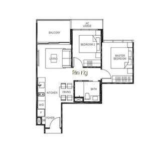 THE GAZANIA photo 5