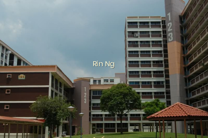 123 SIMEI STREET 1 photo 6