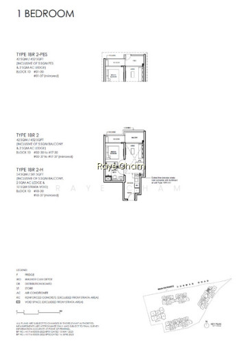 GRAND DUNMAN photo 2