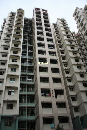 677A JURONG WEST STREET 64 photo 6