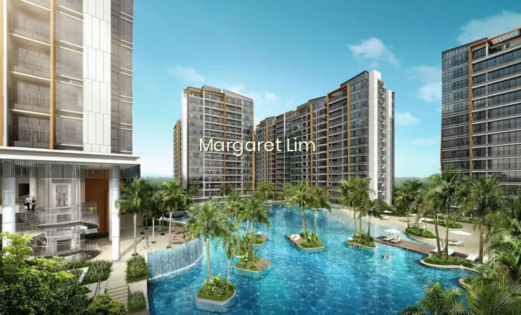 COCO PALMS 8