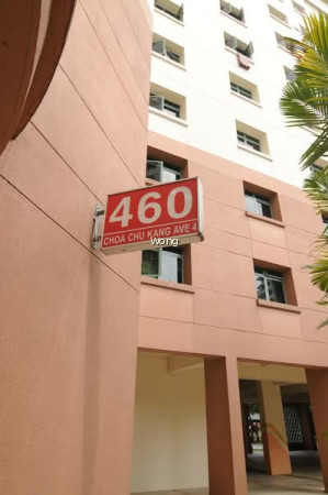 460 CHOA CHU KANG AVENUE 4 photo 4