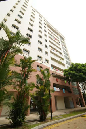 460 CHOA CHU KANG AVENUE 4 photo 5