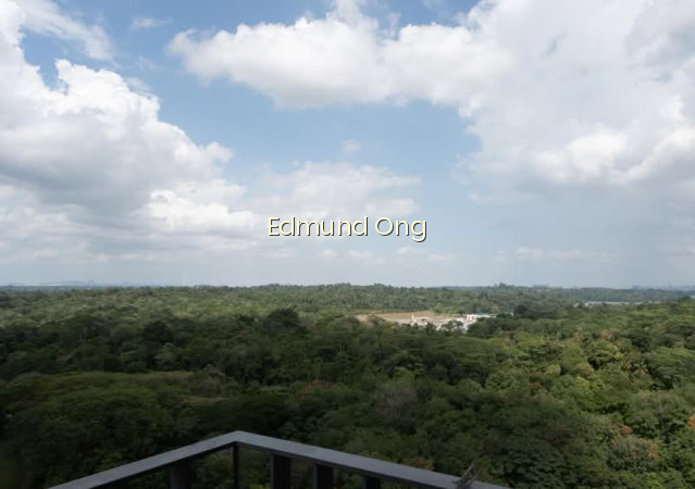 FORESQUE RESIDENCES photo 4