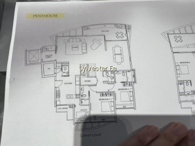 SUPER HUGE DUPLEX FREEHOLD PENTHOUSE IN D10 FOR SALE! photo 4