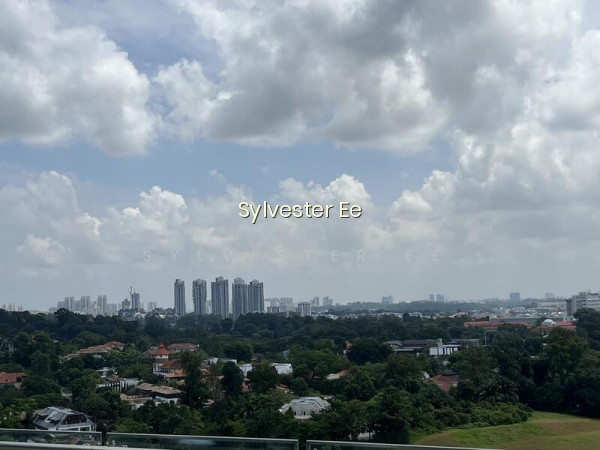 SUPER HUGE DUPLEX FREEHOLD PENTHOUSE IN D10 FOR SALE! photo 6